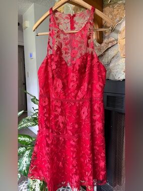 DB Studio Red Lace Floral A-Line Dress 14